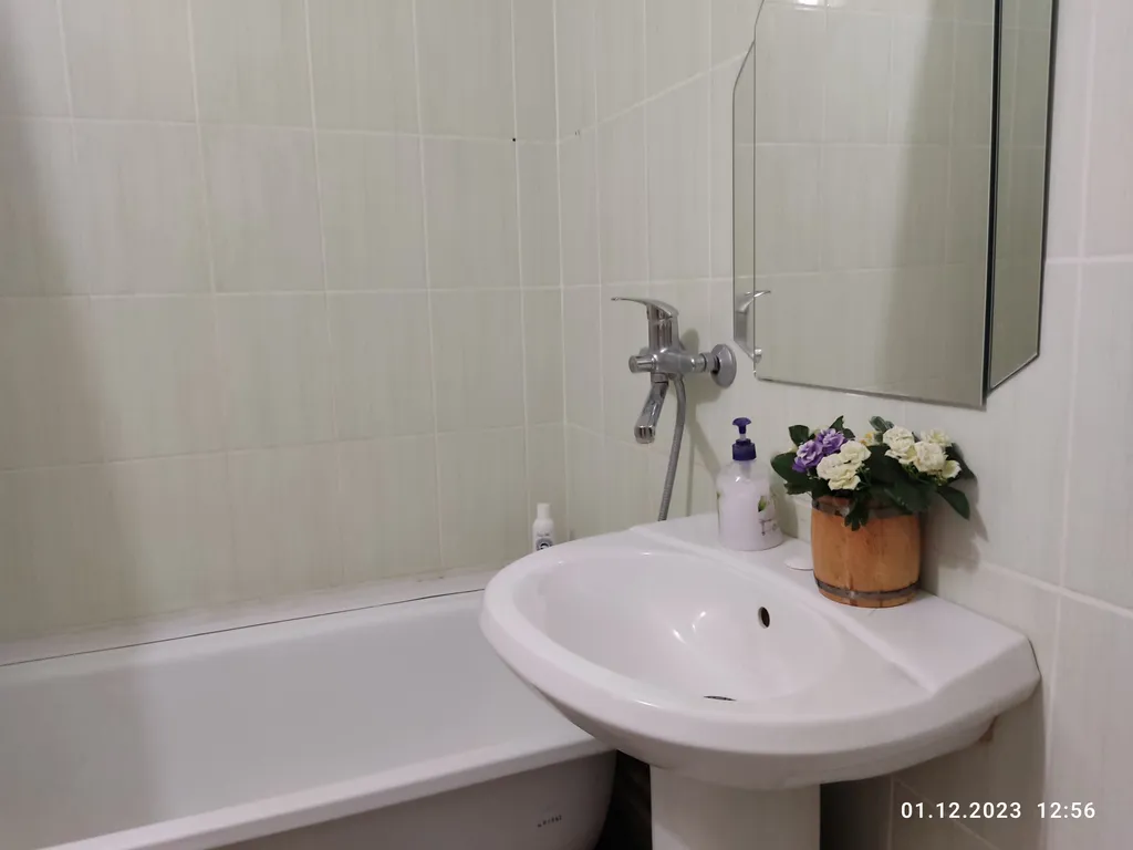 Апартаменты в гостях у Лилии