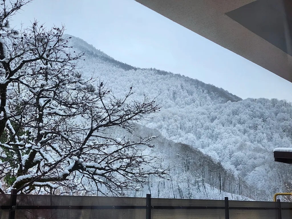 Lucy apartments in the sky