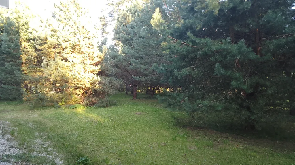 Таунхаус Хитрый Лис