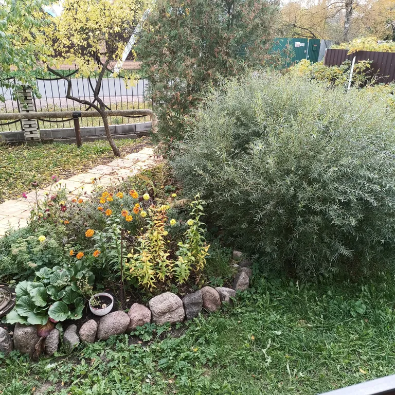 Коттедж Уютный дом с садом — Гатчина