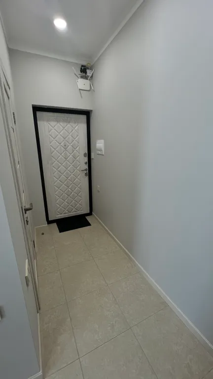 Квартира 1-комнатная Квартира — Сириус