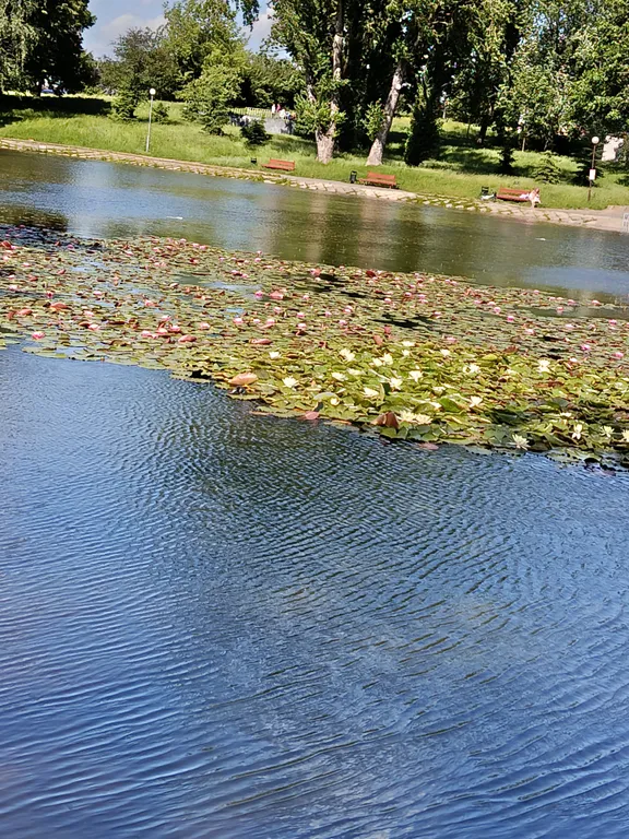 Квартира Уютная квартира в тихом центре города, недалеко от вокзала — Минск