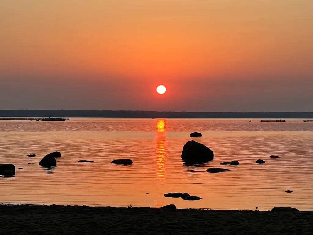 Коттедж Коттедж Уединённый лесной комплекс Финский Лес у моря — Приморск