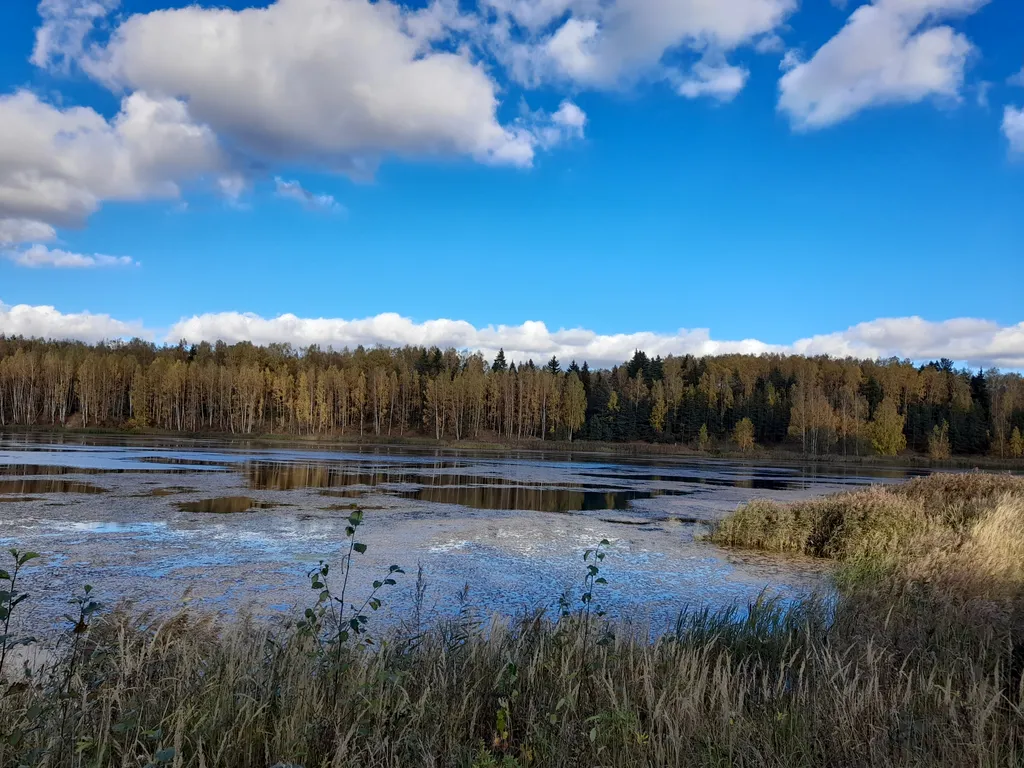 Уютный домик с отдельно стоящей русской баней на дровах и банным чаном