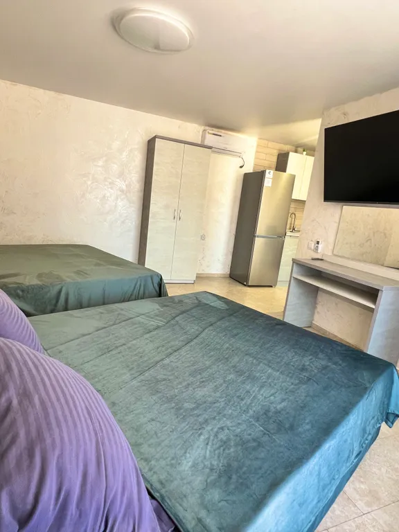 Квартира 1-комнатная Квартира — Пляхо