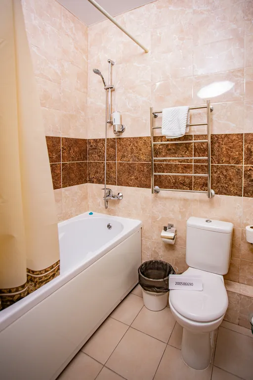 Апартаменты- Чистые пруды