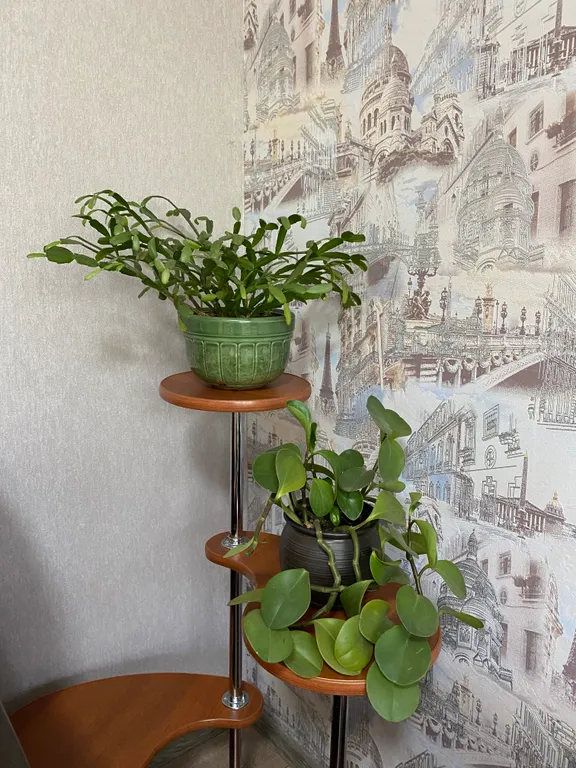 Квартира рядом с парком Победы