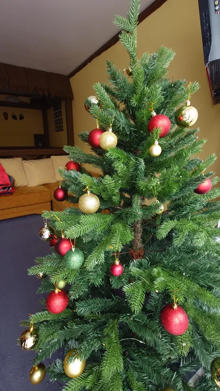 Студия 2 комнаты. 
5 спальных мест. В центре посёлка.