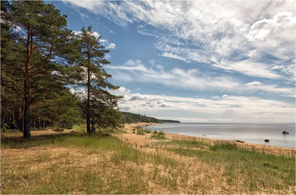 Коттедж Уютный коттедж на берегу Финского залива — Зеленая Роща