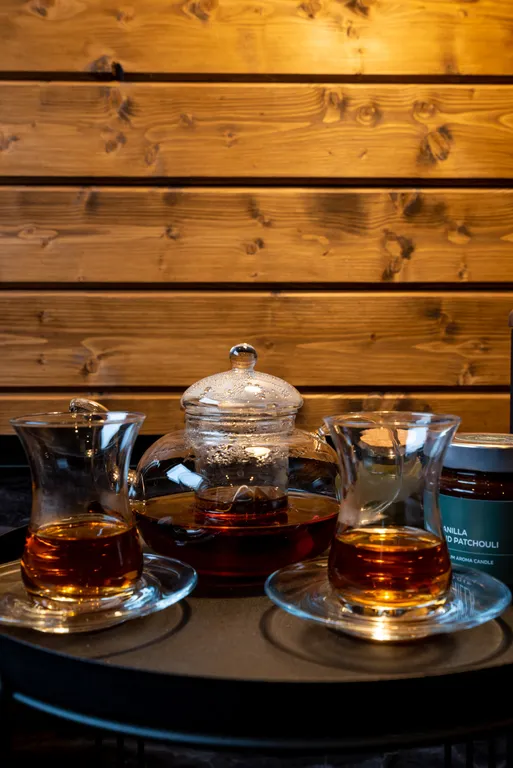 Теплый панорамный дом с русской баней и купелью