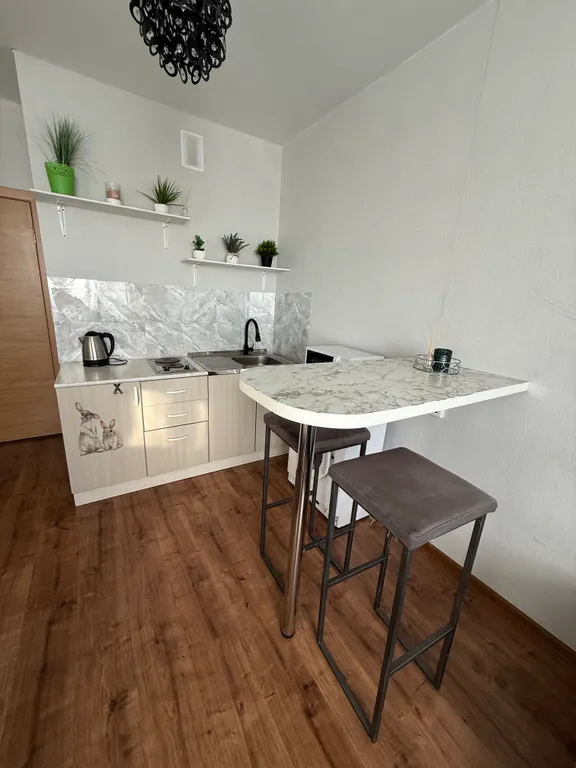 Уютная студия на 24 этаже с шикарным видом