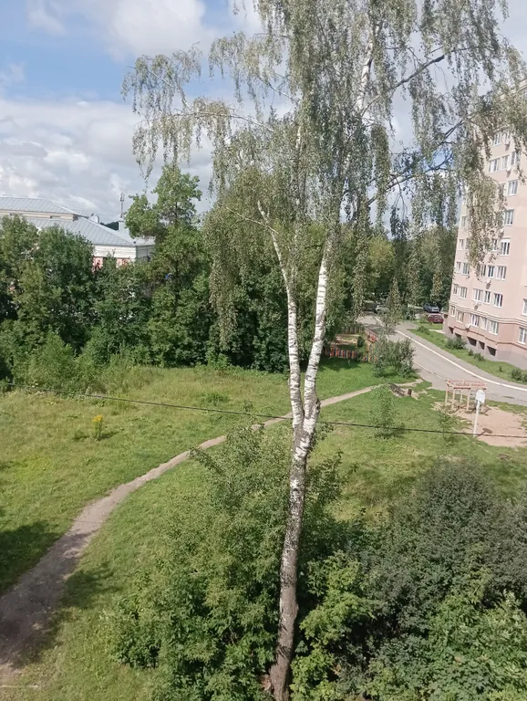 Квартира чистая и уютная, теплая