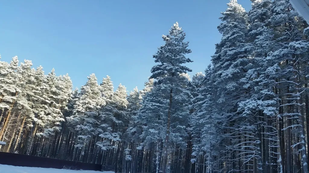 Коттедж Скандинавский дом, Ладога и маяк Vuohensalo в шаговой доступности — Приозерск