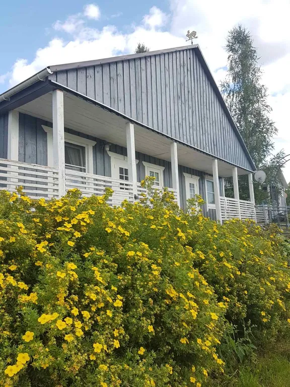 Коттедж Пушкинские Горы — аренда посуточно в Луговка