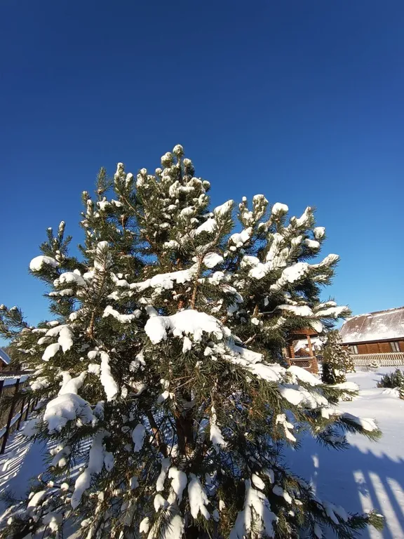 Боровики Хаус дом с камином