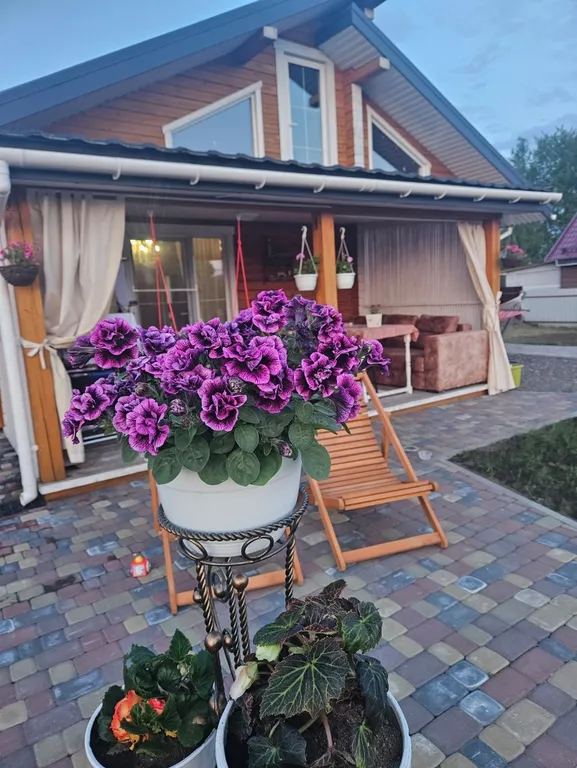 Дом из натурального бруса у горнолыжных центров