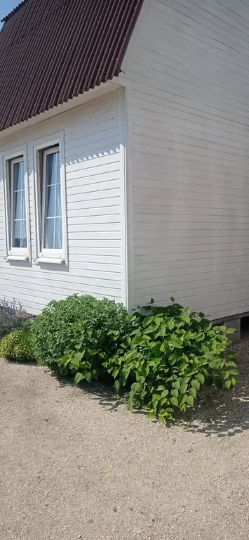 Апартаменты Жара