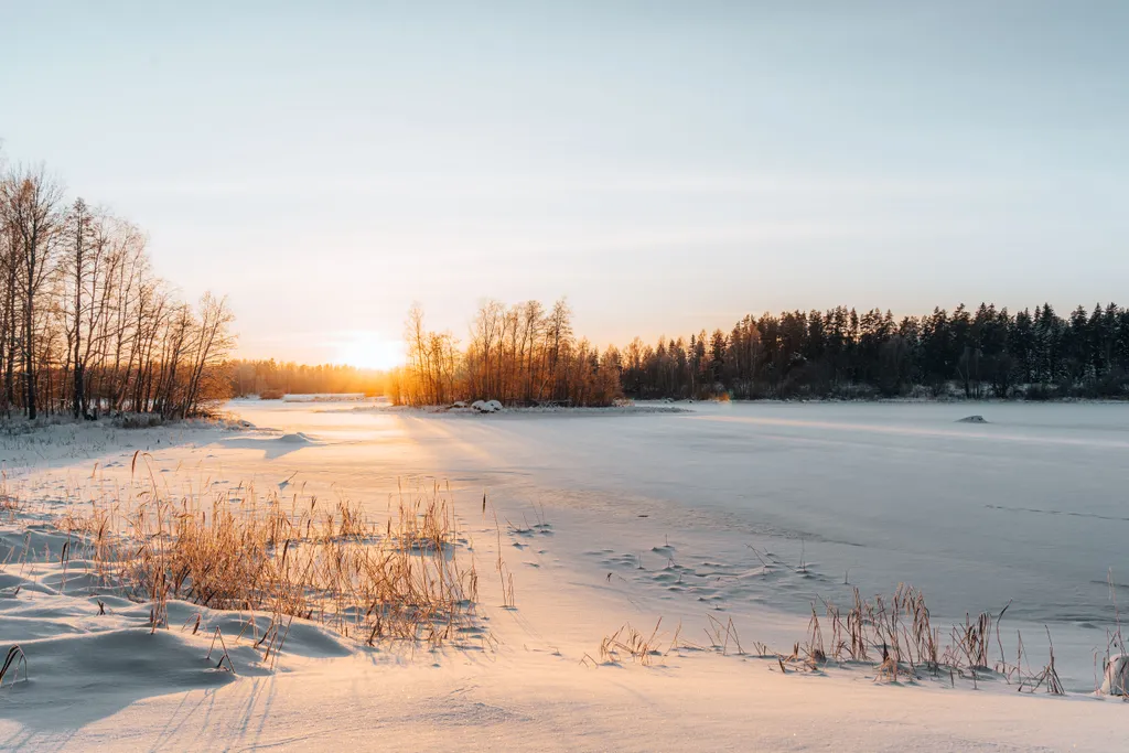 Просторные апартаменты