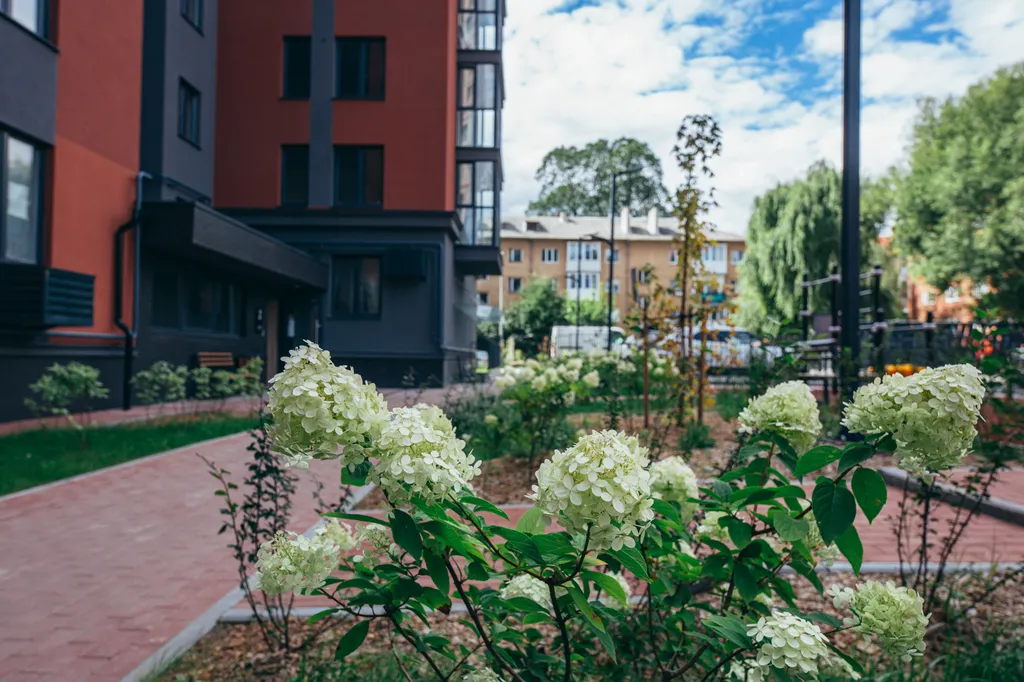 Квартира Квартира Золотые дни — Калининград