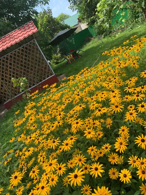 Уютный дом с бассейном, верандой и садом