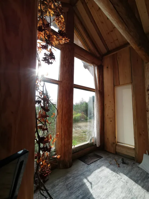 Дом из бревна