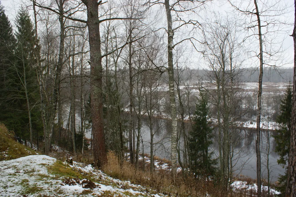 Коттедж Уютный 2-этажный дом с видом на реку Сясь — Сясьстрой