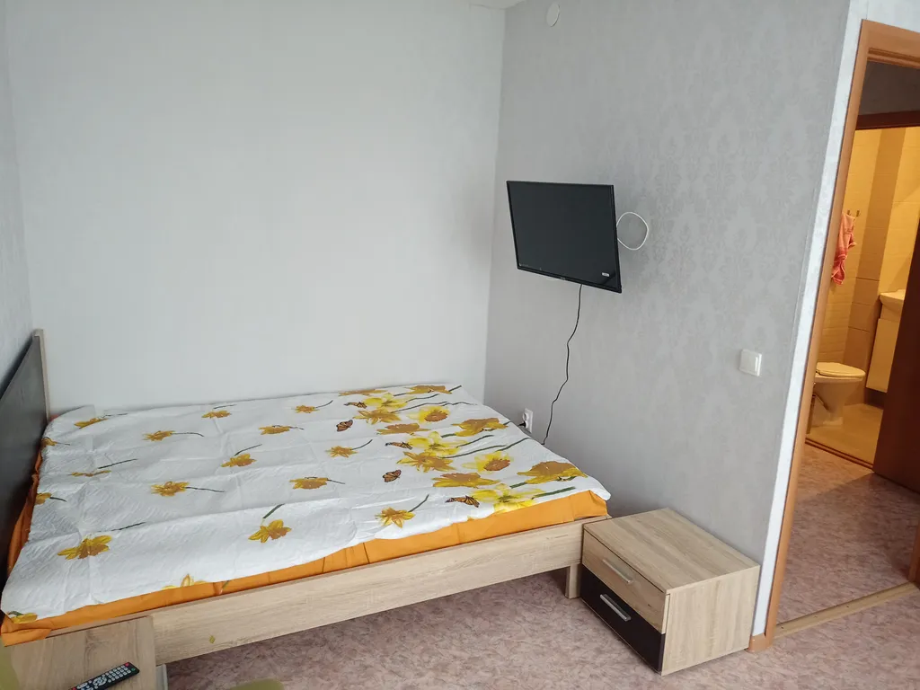 Уютная однокомнатная квартира с 2 отдельными спальными местами