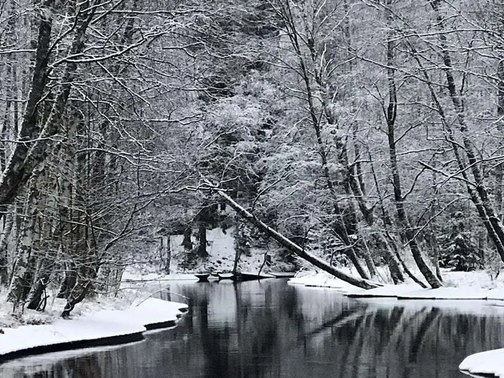 Дом с бесплатной баней на 1 линии от реки