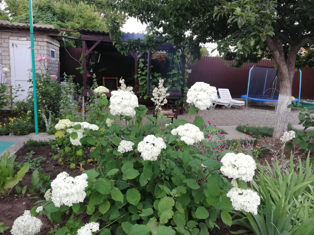 З-местный эконом