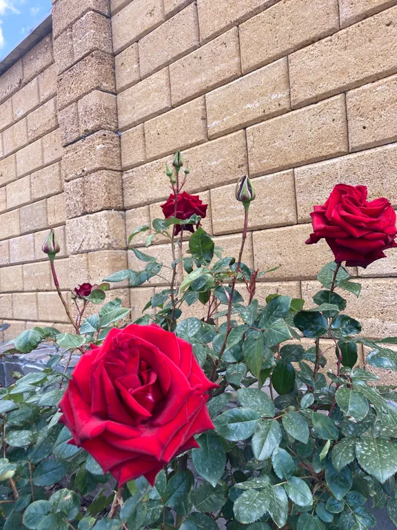 Юго-Запад, первая линия от моря