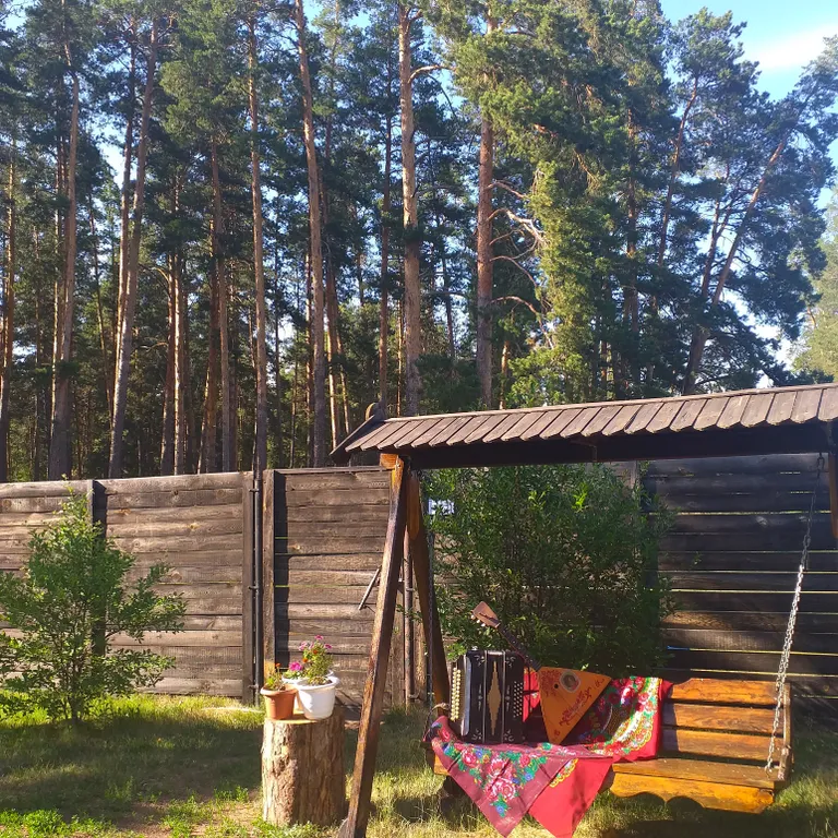 Отдых в Бузулукском бору круглый год с выходом в лес.