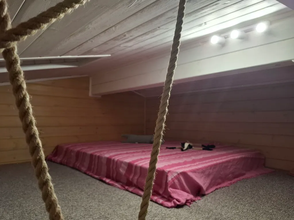 Дом с мансардой в соснах