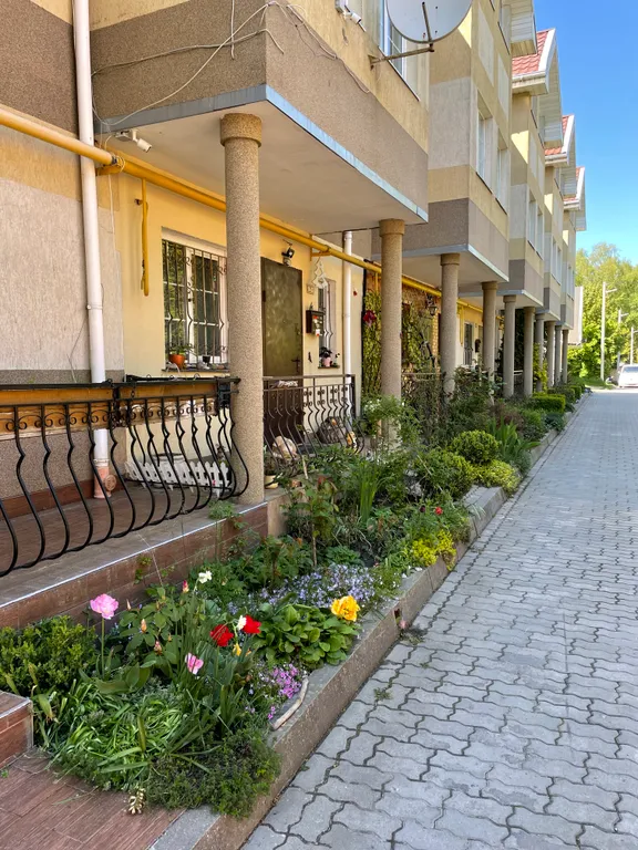 Морской бриз