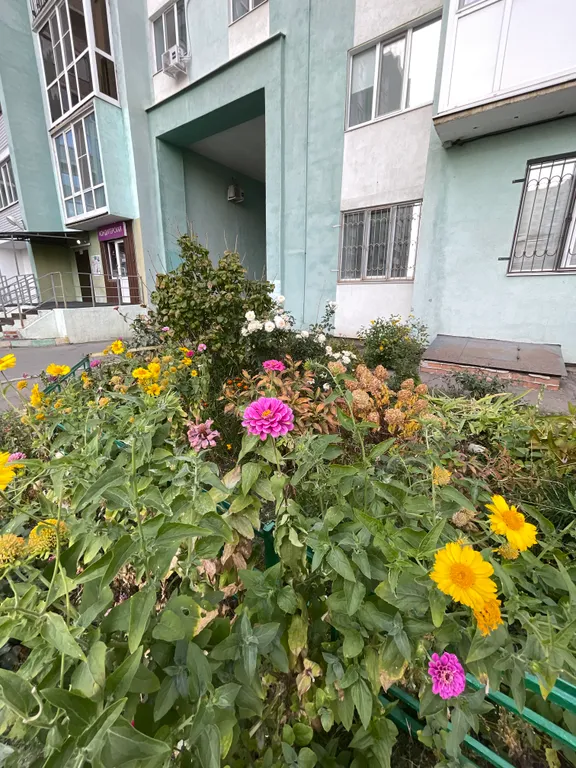 Квартира в новом доме на СХИ