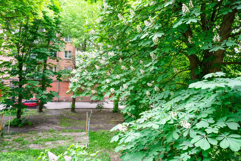 Квартира Квартира в центре — Калининград