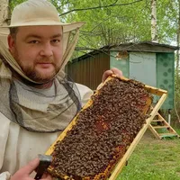 Евгений  Архипов