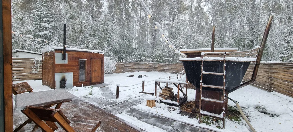 Коттедж Дом в лесу — аренда посуточно в Омск