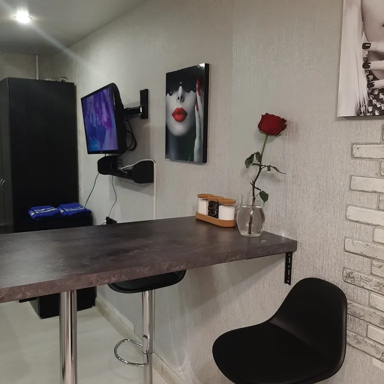 Квартира Уютная студия в центре города — аренда посуточно в Подольск