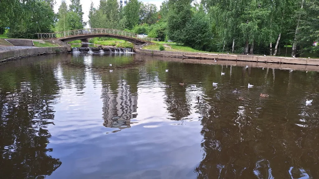 Квартира в центре города