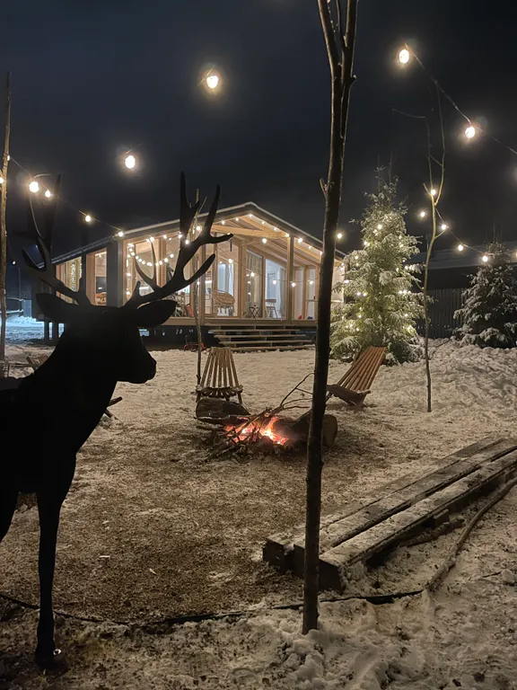 Дом с панорамным камином и видом на лес