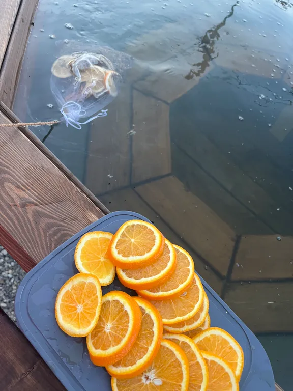 Новый уютный дом с сауной и банным чаном