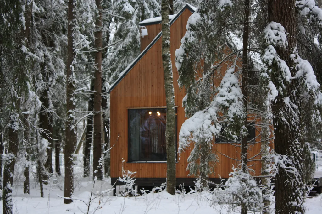 Домик в лесу на берегу Плещеева Озера