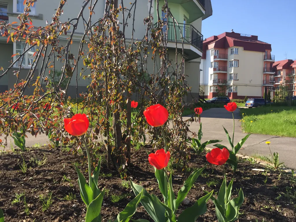 Квартира Апартаменты Newstory — Тихвин