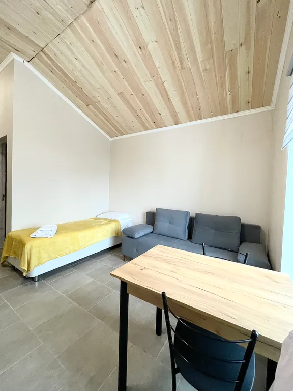 Апартамент однокомнатный на троих