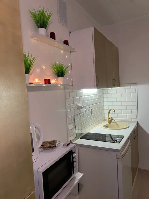 Квартира Квартира Уютная однушка — Светлогорск