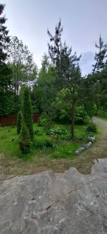 Уютный лесной домик