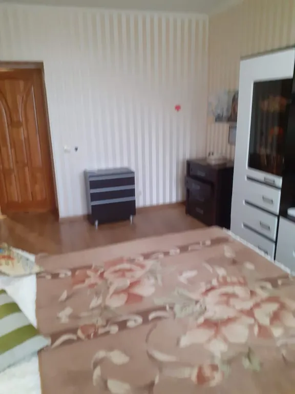 Квартира Благоустроенная квартира — Светлогорск