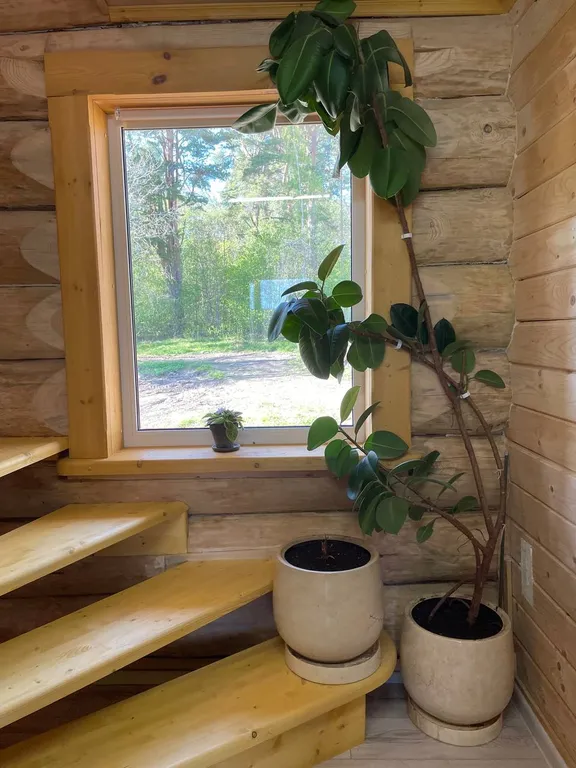 Дом в лесу среди сосен