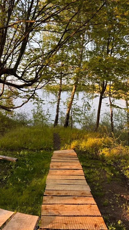 Уютный шатер среди деревьев на берегу озера
