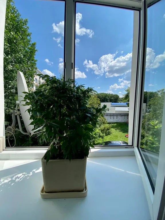 Уютная квартира в историческом центре Гомеля